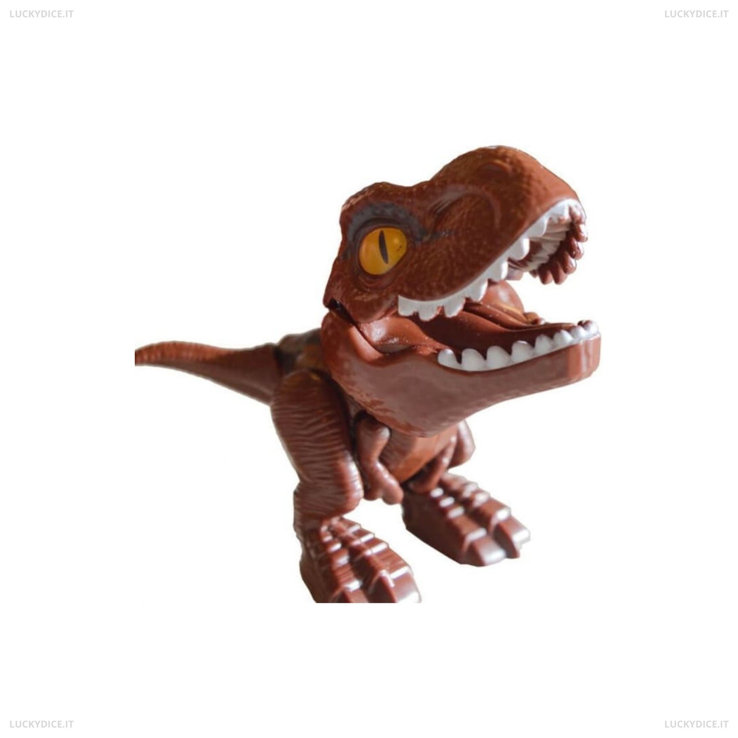 Feed Rex