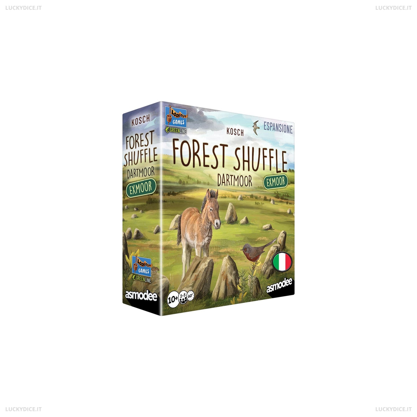 Forest Shuffle - Dartmoor - Exmoor
