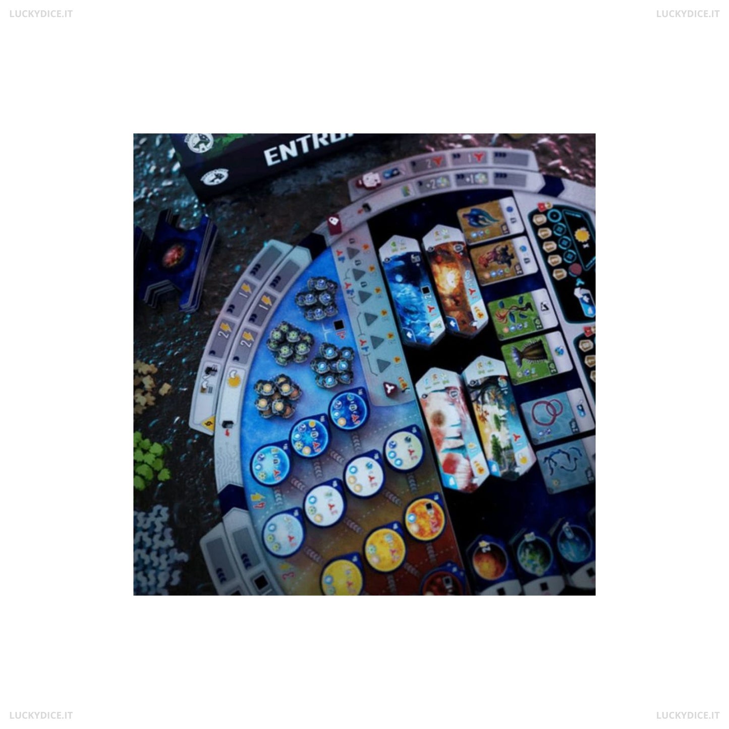 Entropy